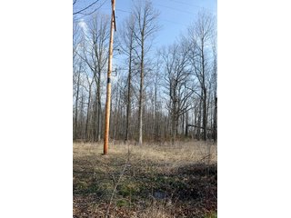 Property photo 20 - 77 +/- Acres Offered in 6 Tracts - Premier Estate Auction